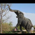 Saint Louis Zoo