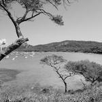 Porquerolles