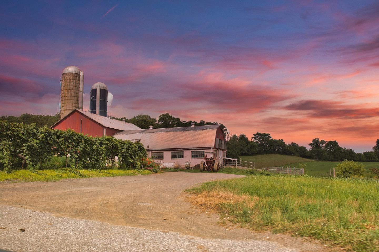 The Wedding Website of Shaughnessy Migash and Quinton Taylor