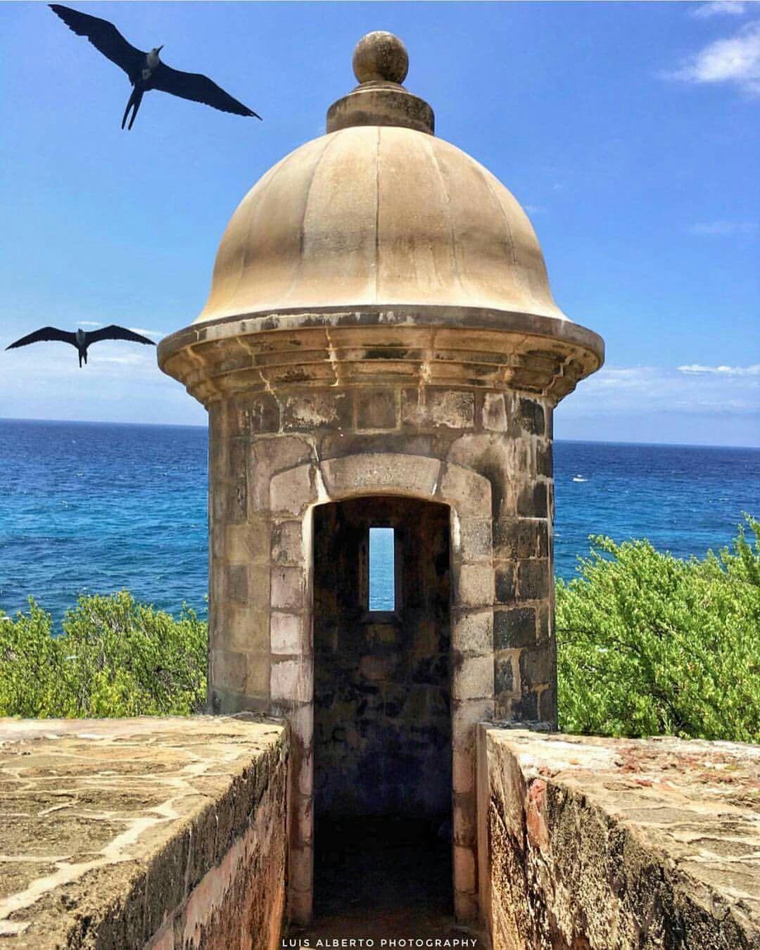 The Wedding Website of Jennifer Bradford and Misael Harrigan