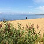 Beach & Swimming - Matapeake Clubhouse and Public Beach