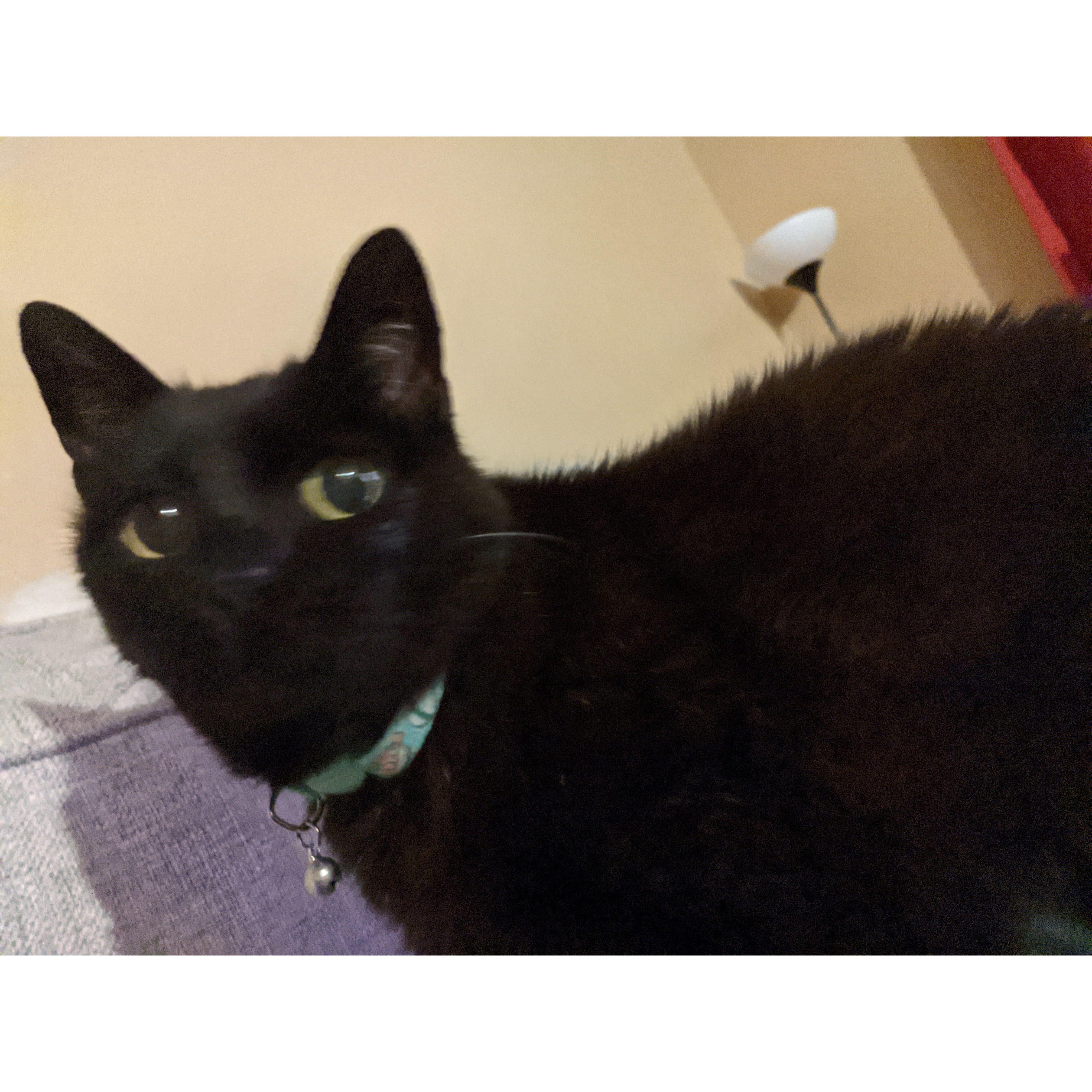 Chito always looked mildly alarmed