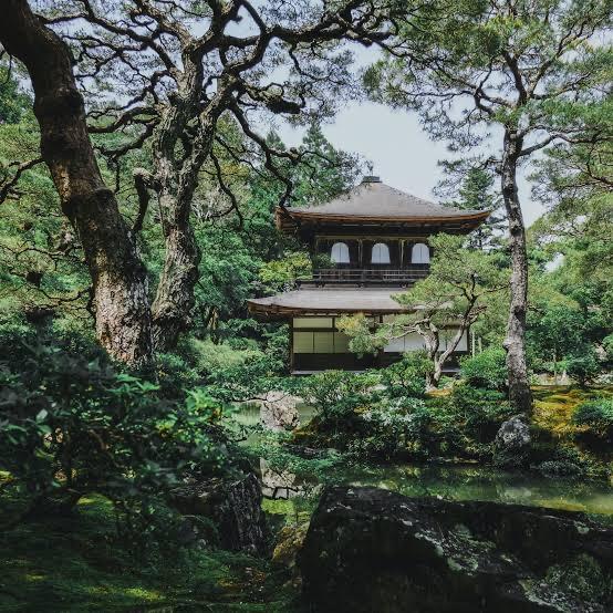 Japan Honeymoon Fund