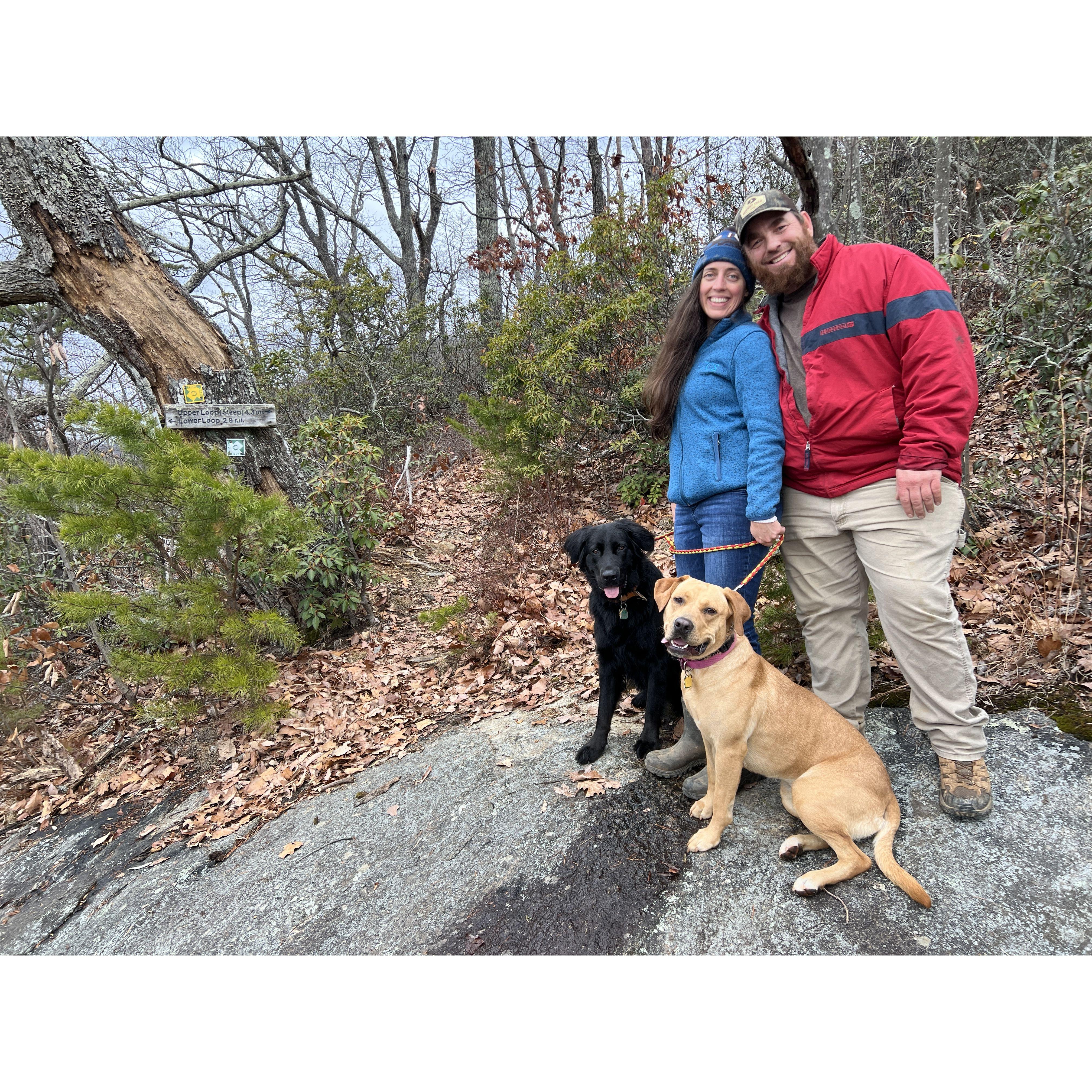Every day is an adventure with our two pups!