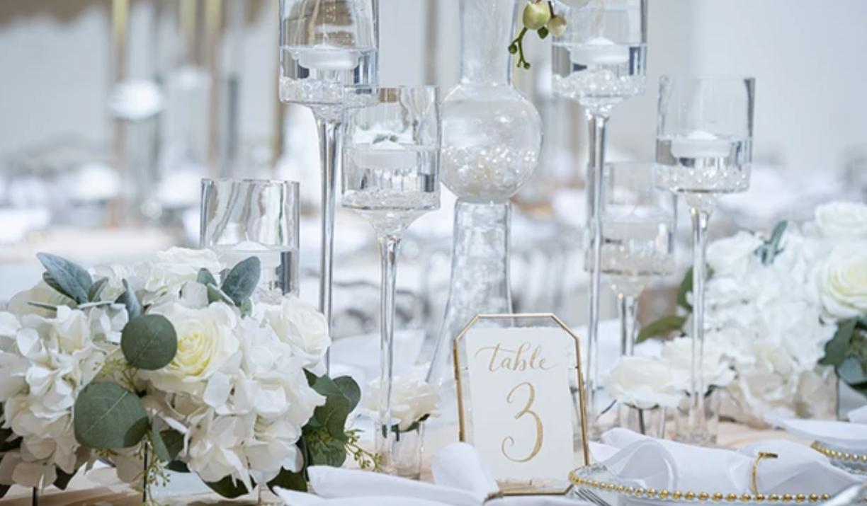 The Wedding Website of Dshandi John and Xzavier Ginns