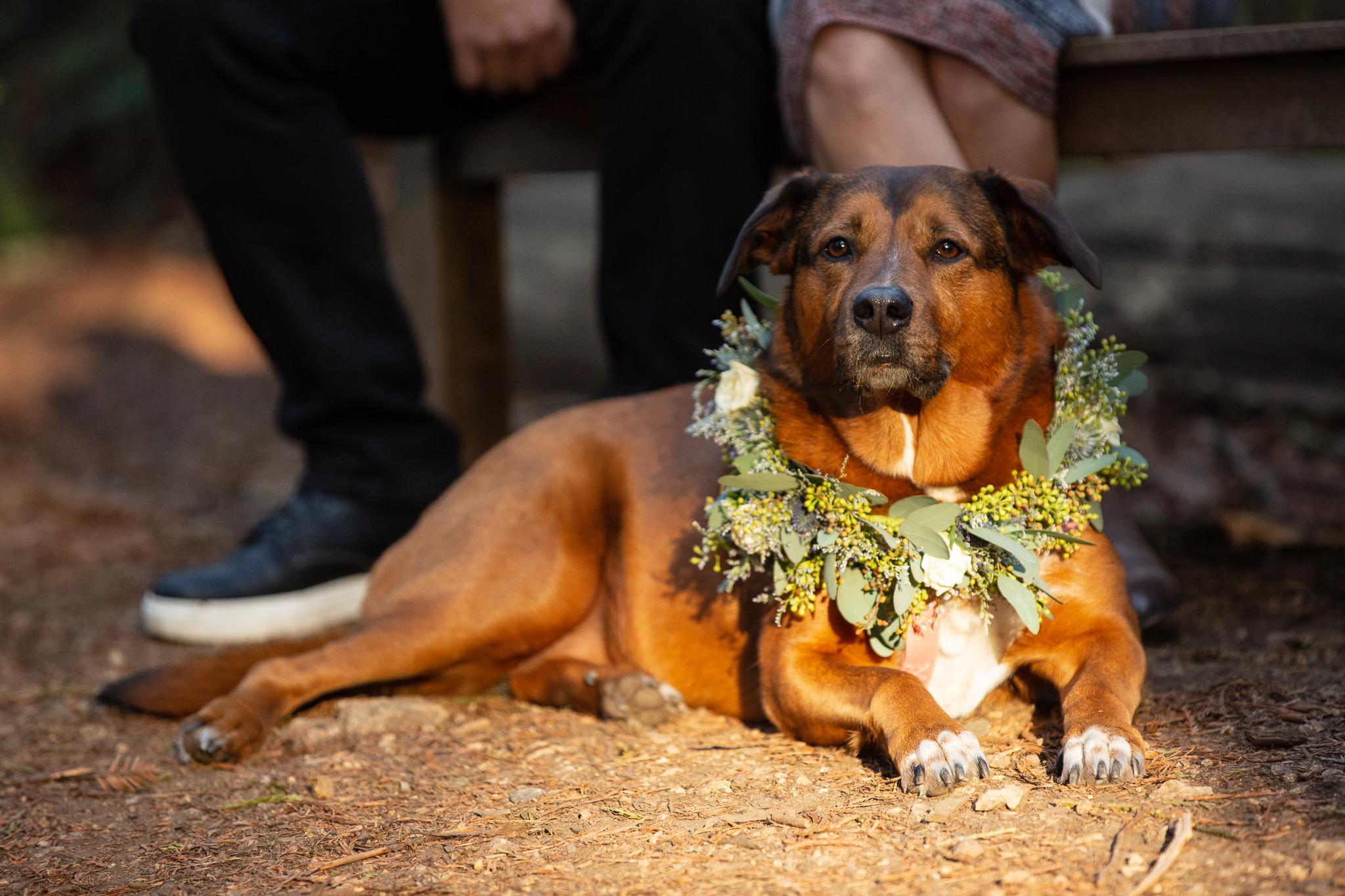 The Wedding Website of Boris Grogg and Sevan Karamian