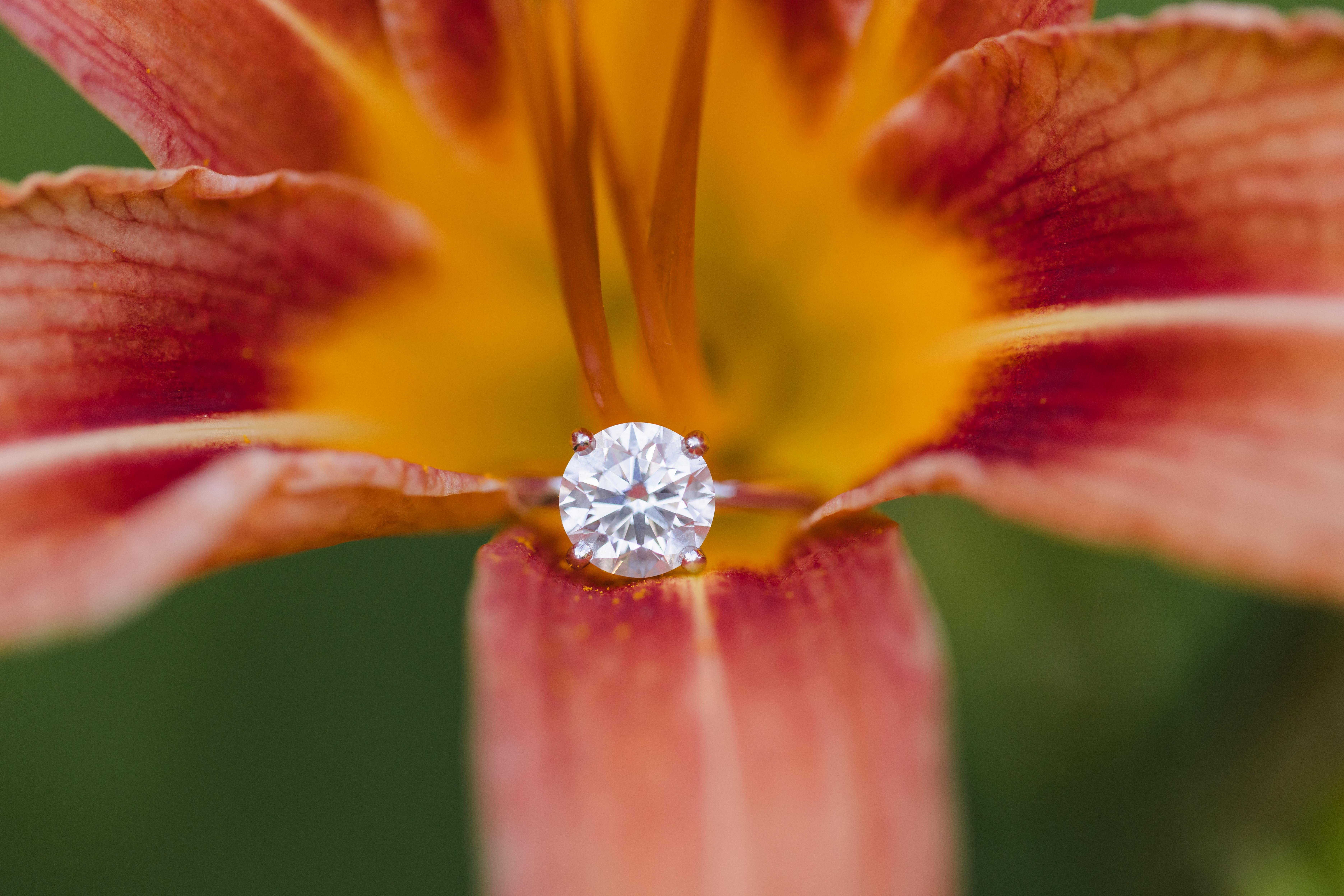 The Wedding Website of Margaret Toft and Derek Grimm