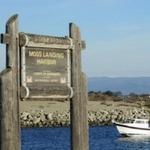Moss Landing