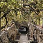 Forestiere Underground Gardens