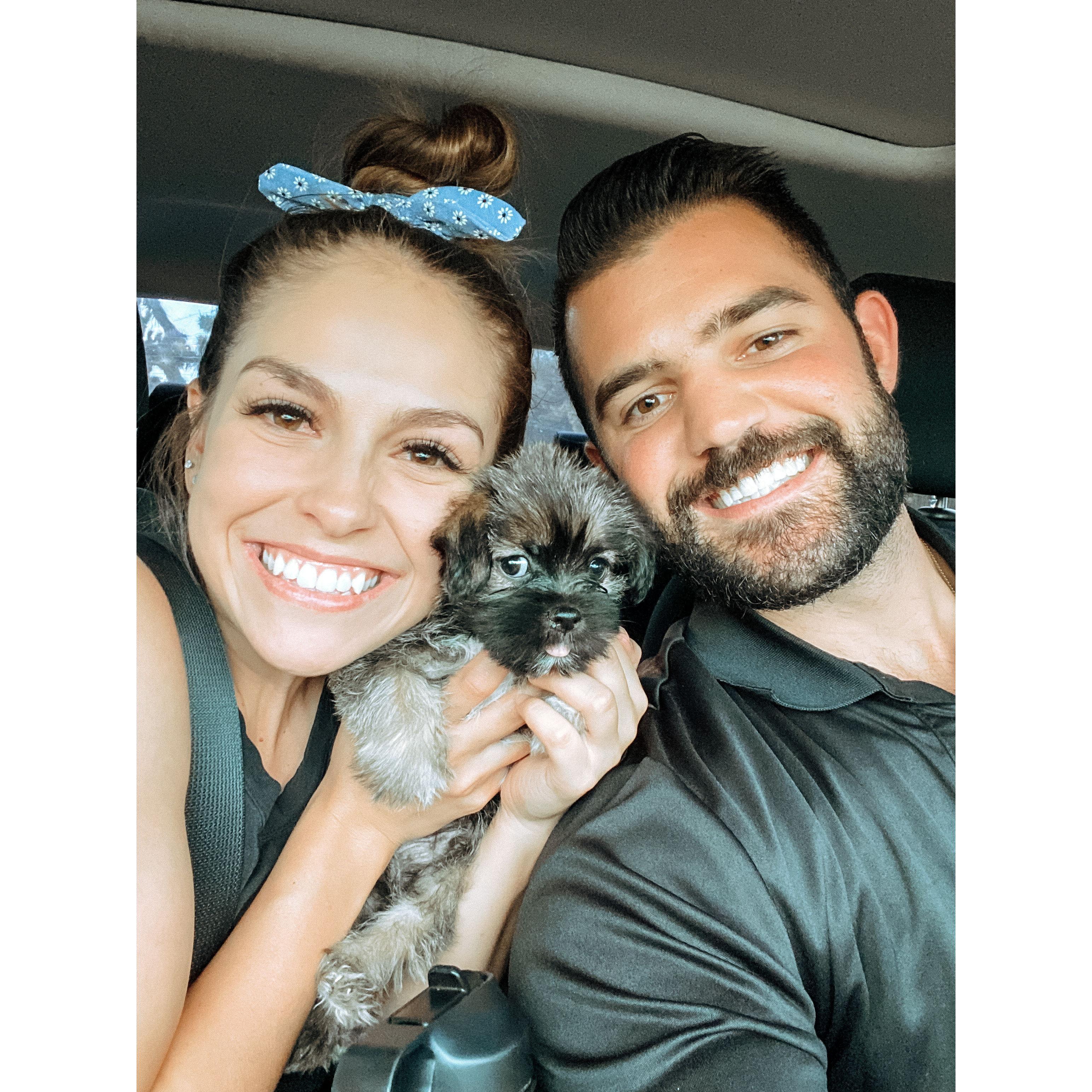 When we became paw-rents