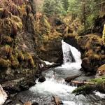 Winner Creek Trail