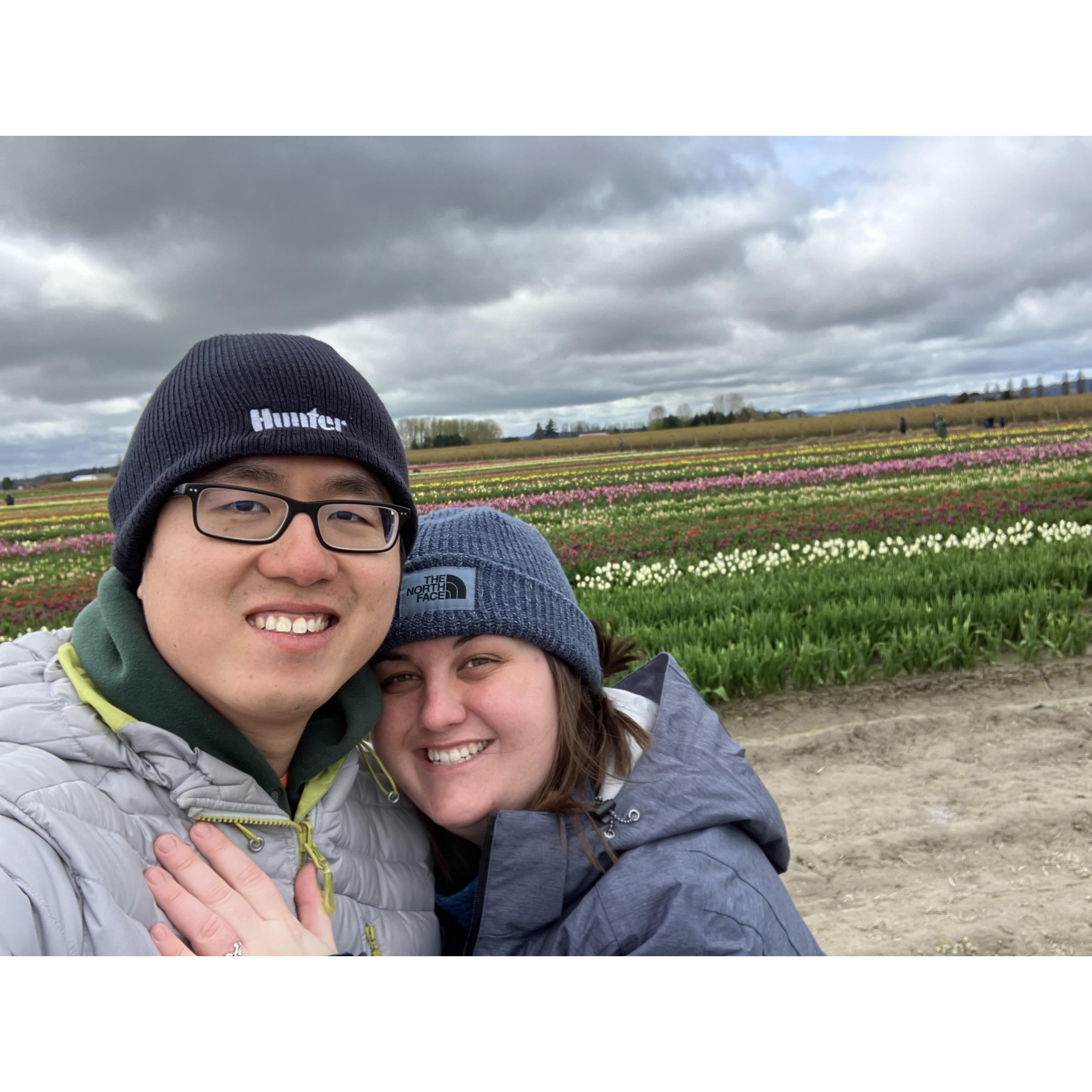 Tulip Festival
