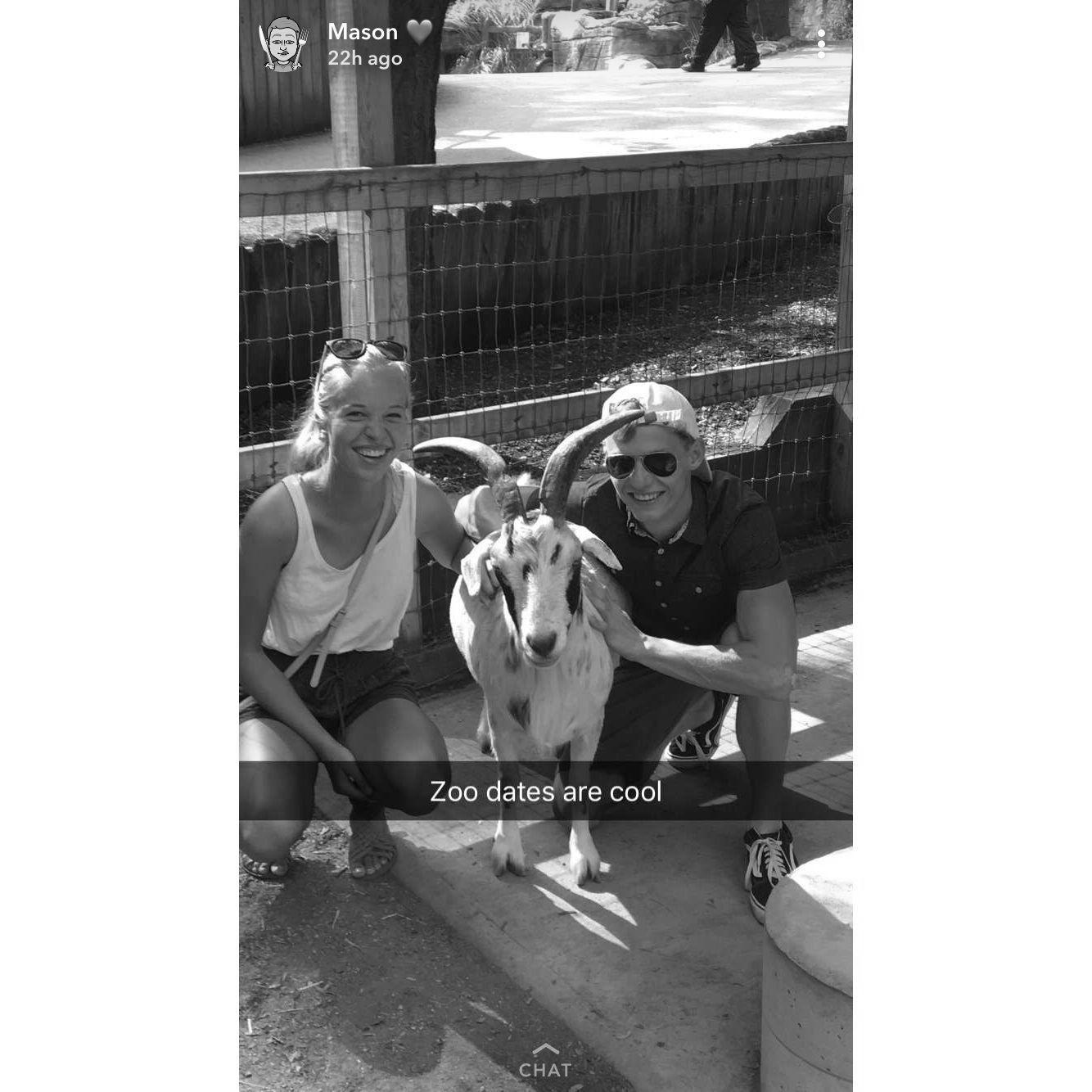Memories from one of many trips to John Ball Zoo while studying at GVSU