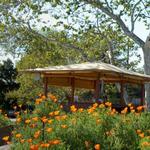 California Botanic Garden