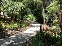 San Diego Botanic Garden