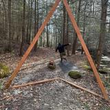 RedPoint Disc Golf