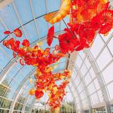 Chihuly Garden and Glass