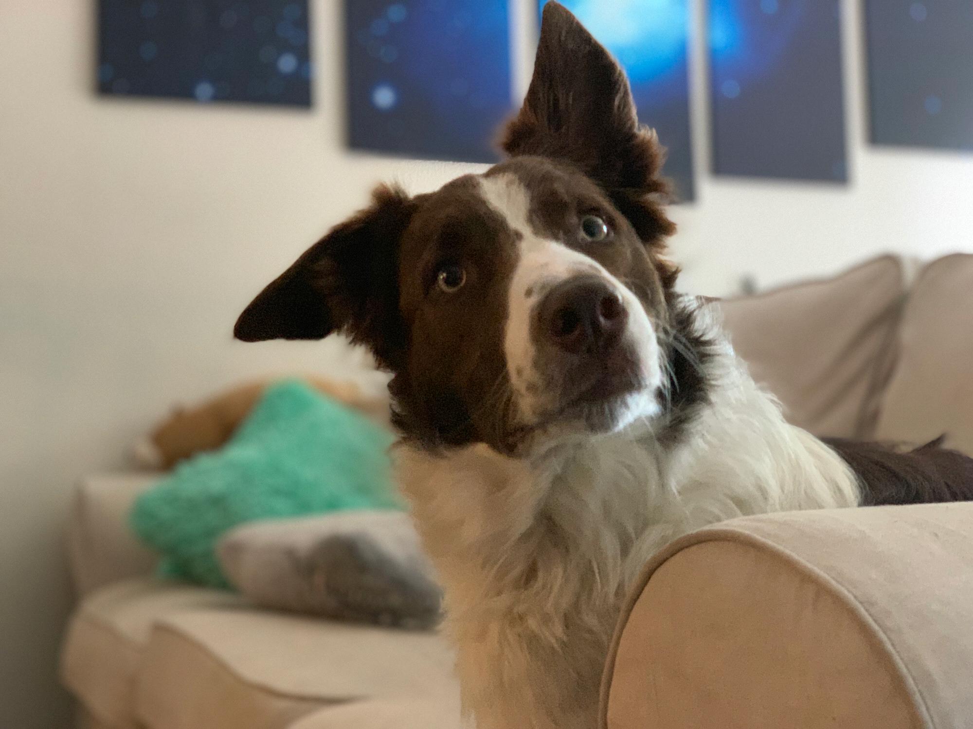 Actual photo of Woody staring into his Dads soul