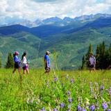Hiking Trails