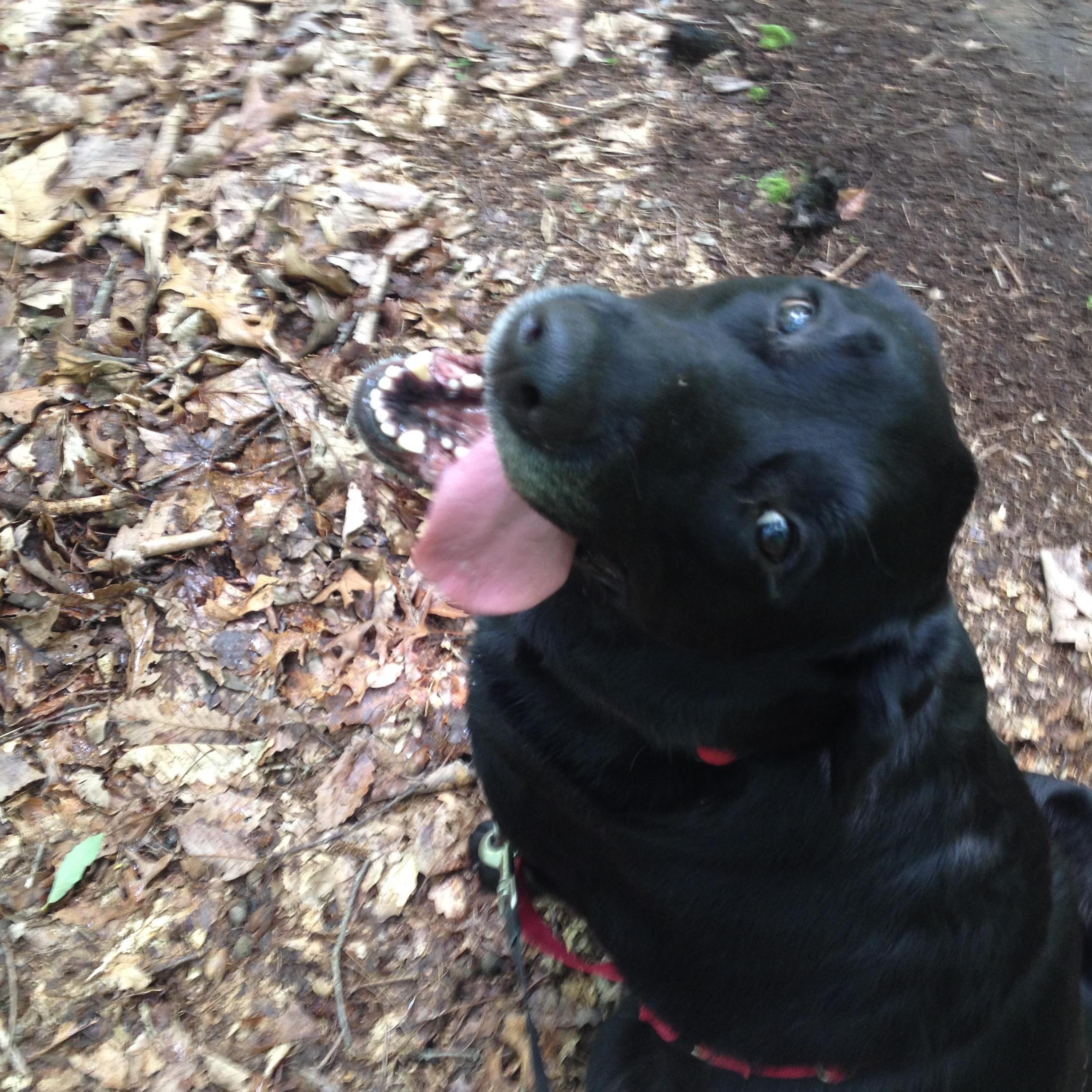 Mags hiking!