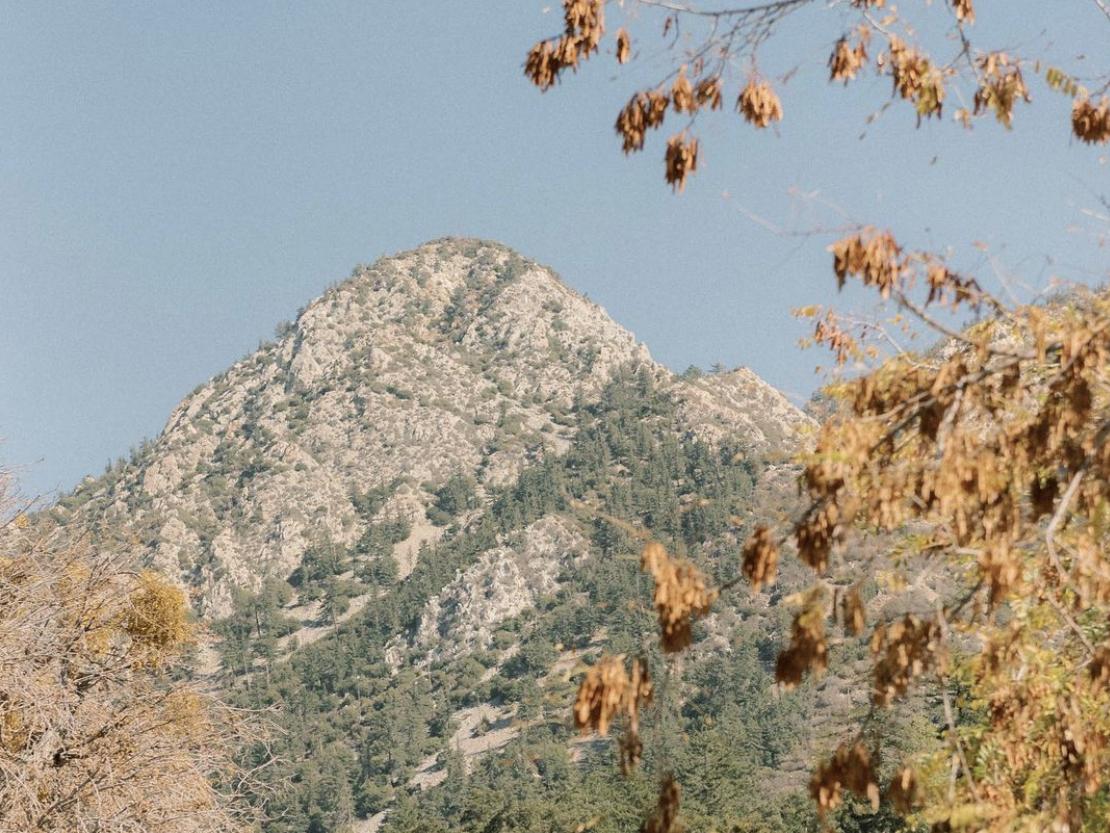 The Wedding Website of Kelsey Whelan and Dylan Van Iwaarden