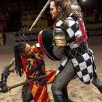 Medieval Times Dinner & Tournament