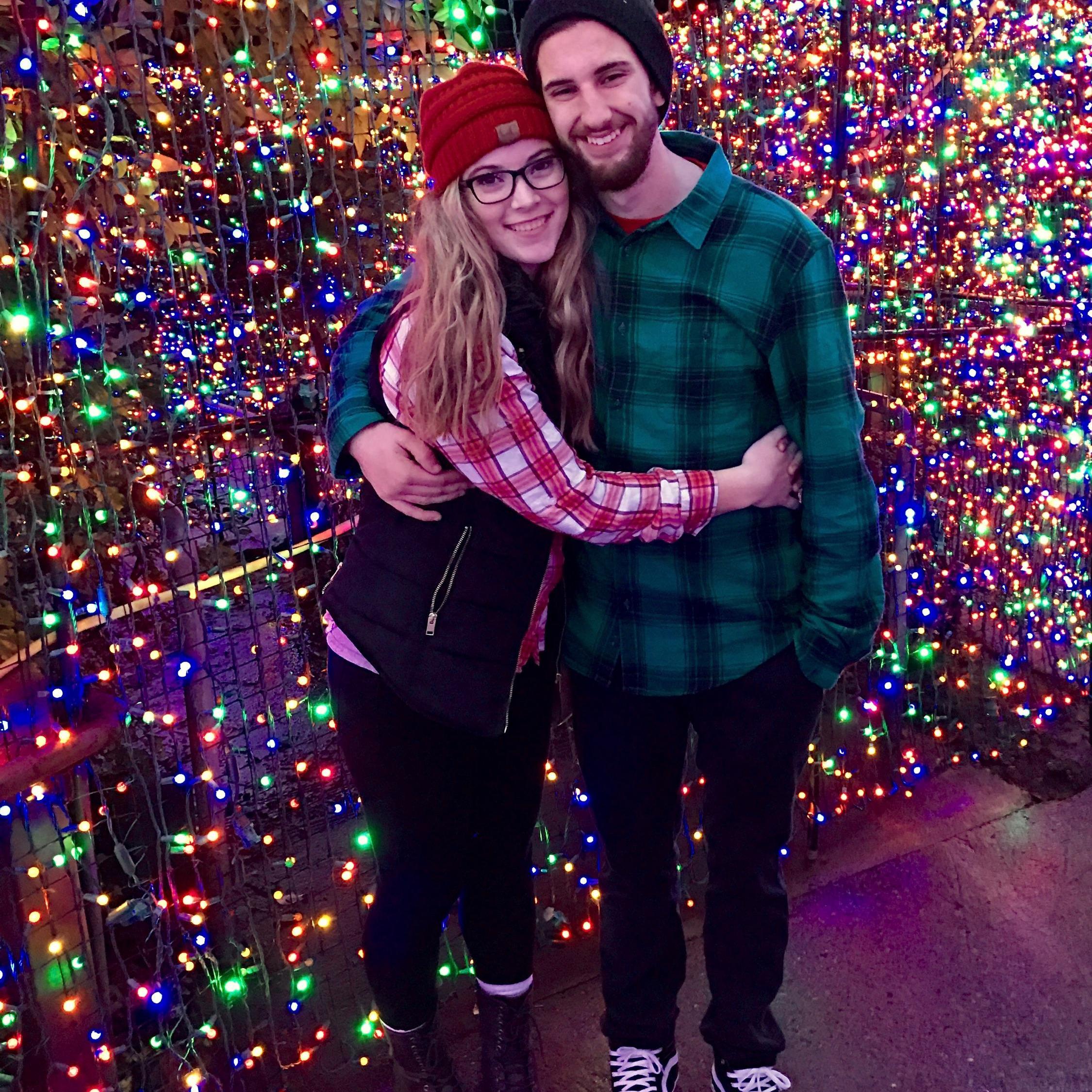 Zoo lights, November 2016