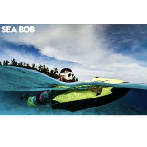 Honeymoon: Seabob in the Maldives
