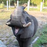 Jacksonville Zoo and Gardens