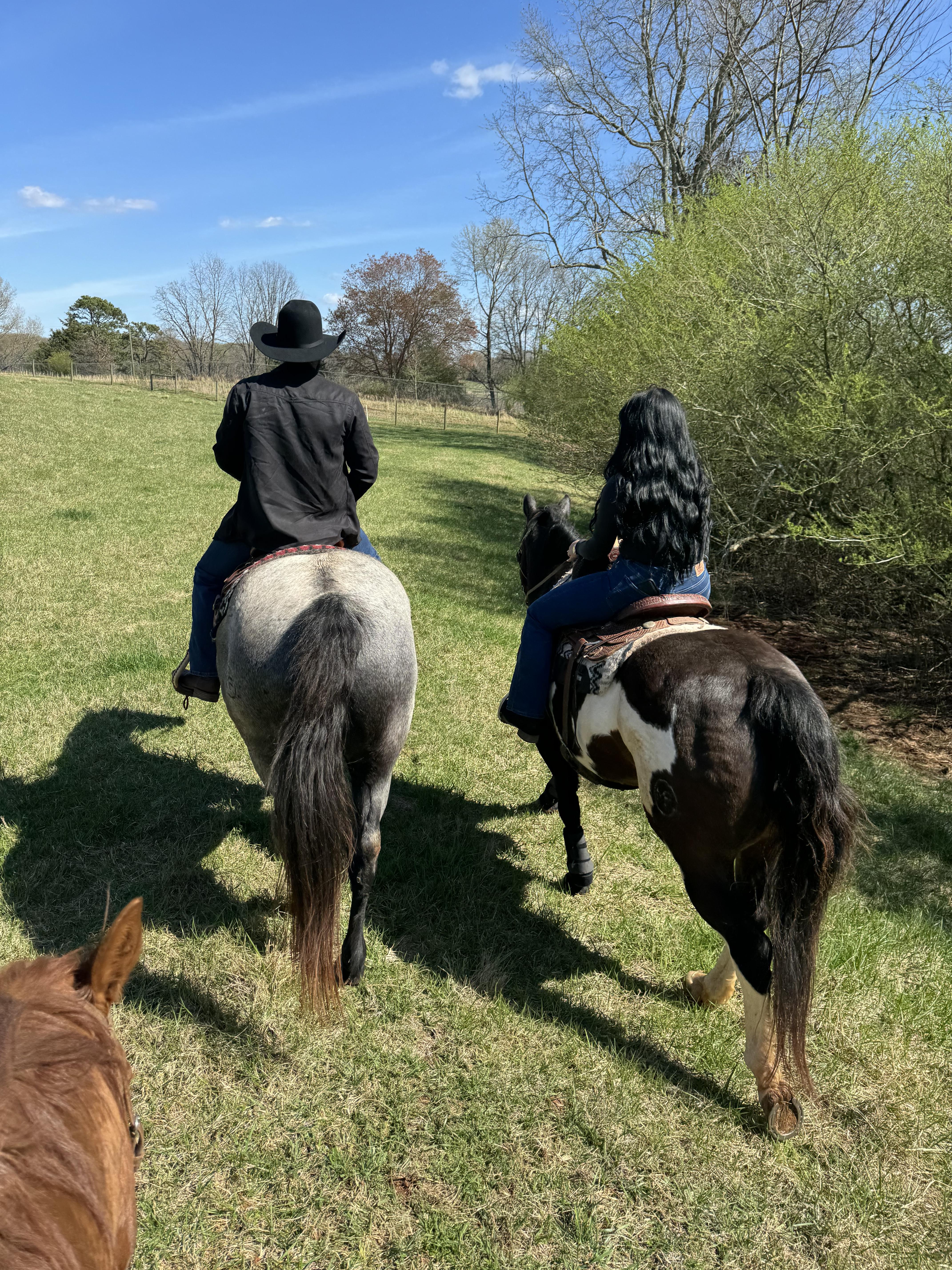 The Wedding Website of Ali Redding and Edgar Gonzalez