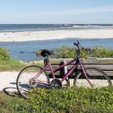 Explore the Island/Bike/Kayak