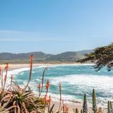 Visit Carmel-by-the-Sea