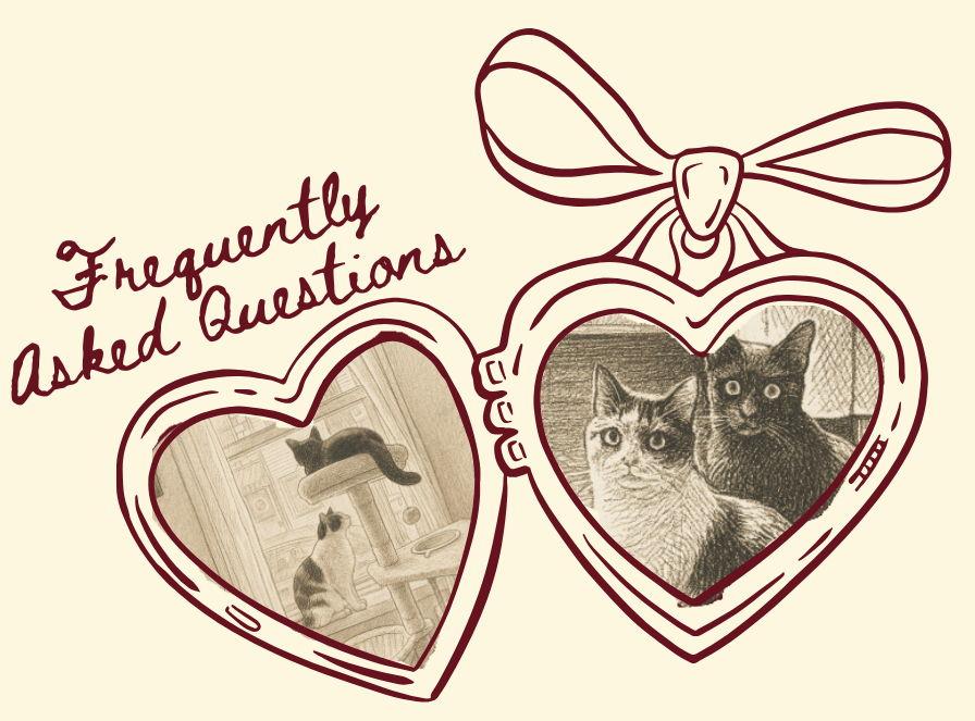 The Wedding Website of Camila Delgado and Tony Durante