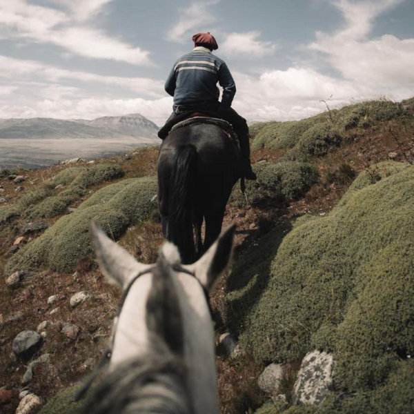 El Calafate Horseback Riding Tour