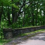 Scenic walking/hiking at Edwin Warner Park
