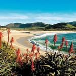 Carmel River State Beach