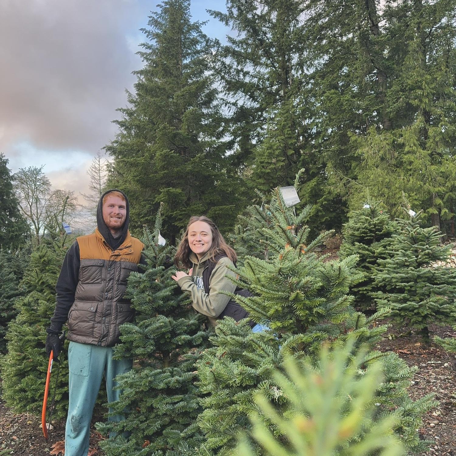 Second Christmas tree!!