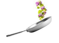 Stainless Skillet