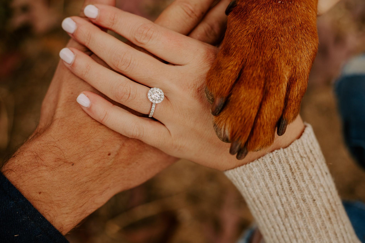 The Wedding Website of Hailee Wetzel and Brett Weatherly
