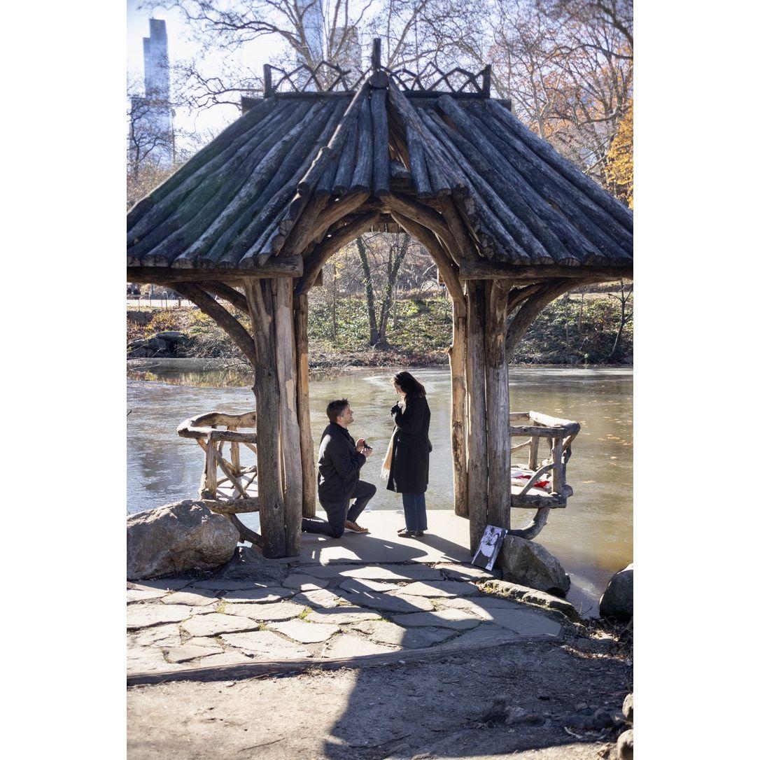 Our Proposal - Central Park