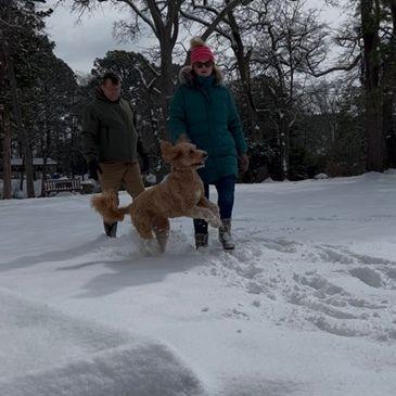 Our attempt at a family photo in the snow. Gryffin took off running back to the house once we set him down.