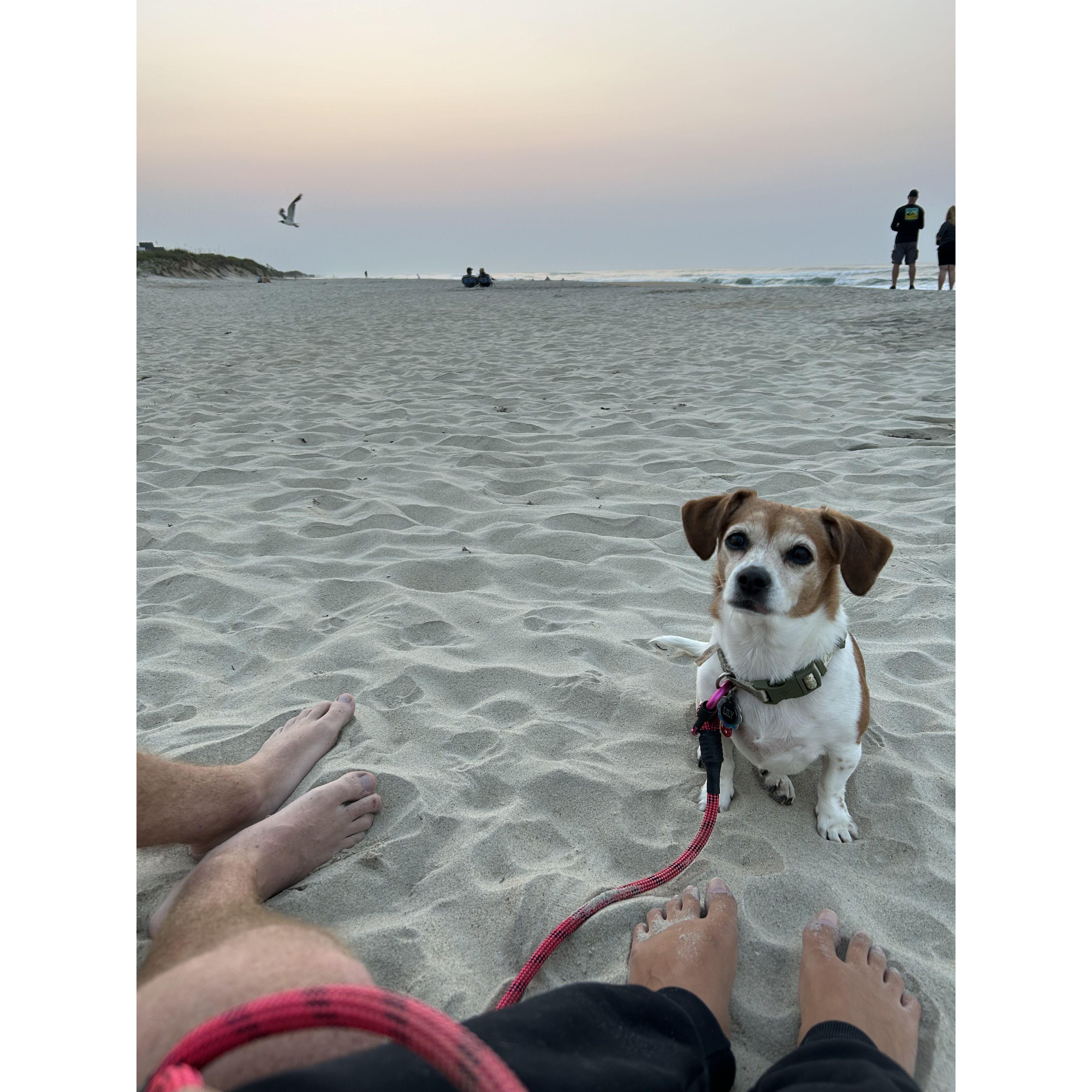 We took Lily out every morning to watch the sunset on the beach in Hatteras!