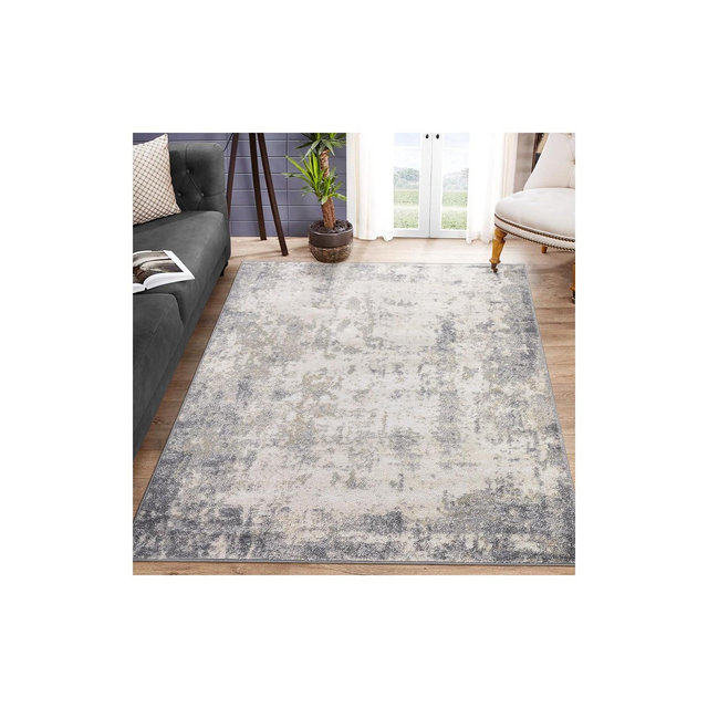 Abstract Rug Modern Rugs for Living Room Bedroom Non-Slip Non-Shedding Indoor Throw Carpet, 5'3" x 7'3" Gray