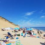 Beachcomber in Wellfleet