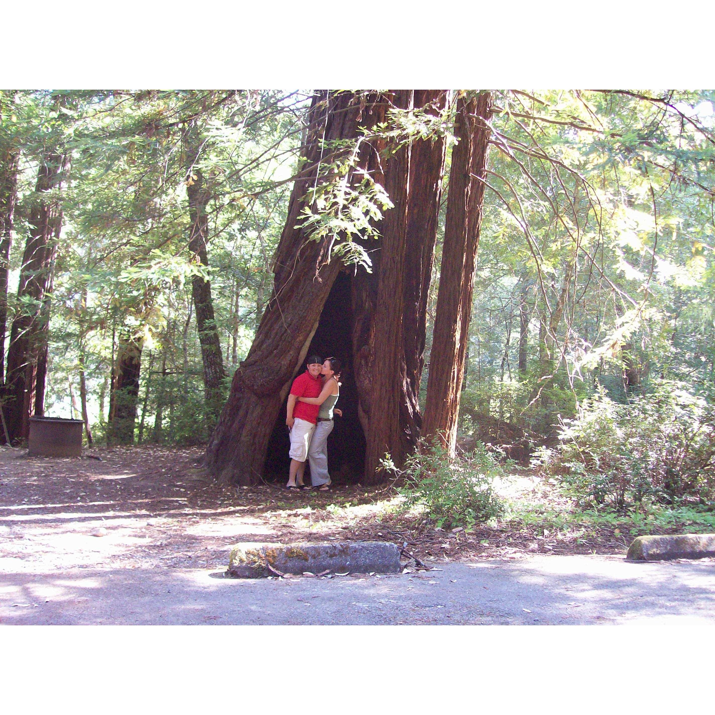First Road Trip - Humboldt, 2009