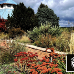 The Arboretum at Flagstaff