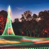 Callaway Fantasy in Lights