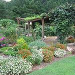 Botanical Garden of the Ozarks