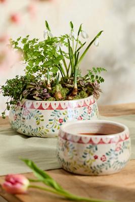 Rose Vine Terracotta Bowl Planter