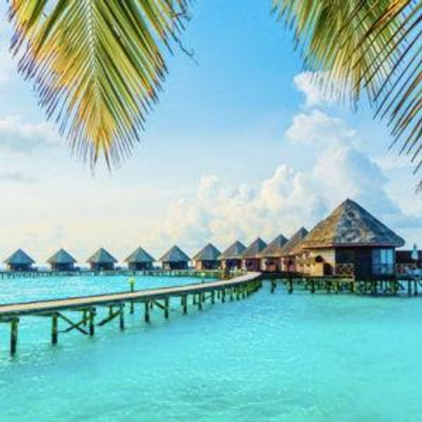 Honeymoon Fund